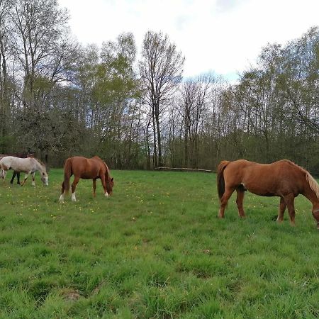 Gite En Creuse Moutier-Malcard Екстер'єр фото