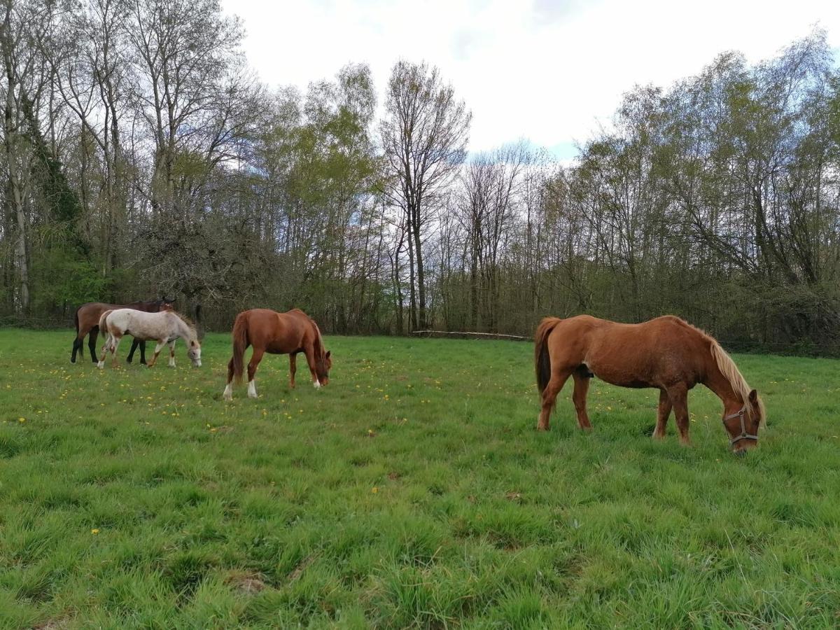Gite En Creuse Moutier-Malcard Екстер'єр фото